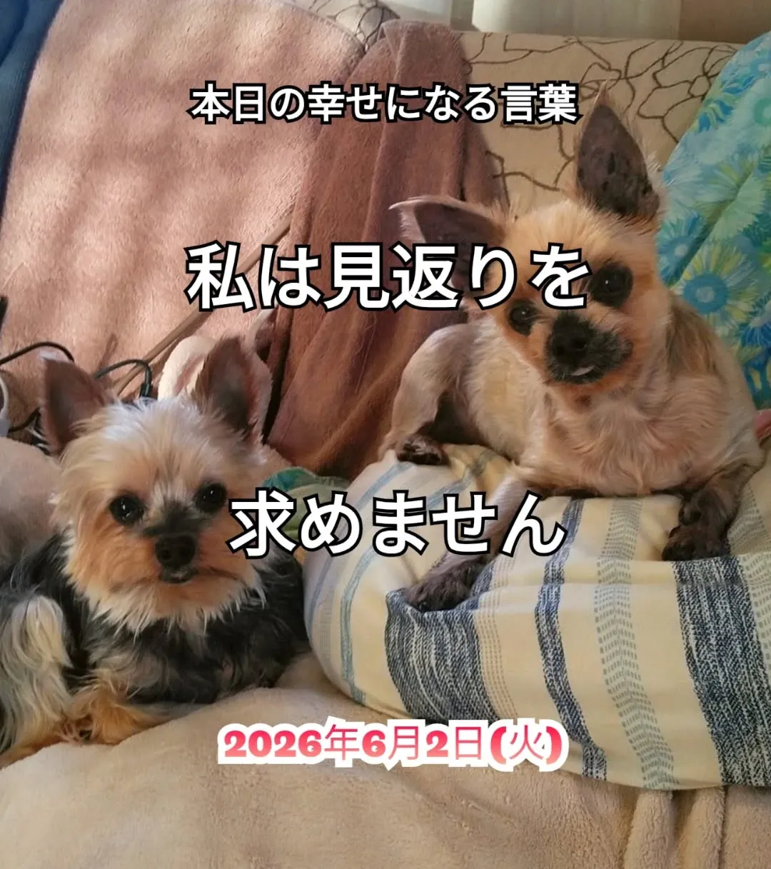 スピリチュアルヒーリングセンター