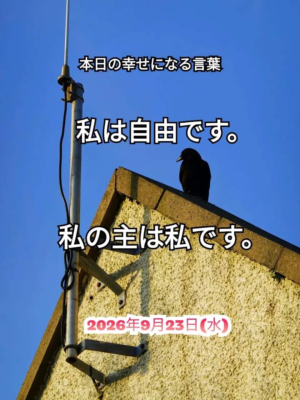 スピチュアルヒーリングセンター