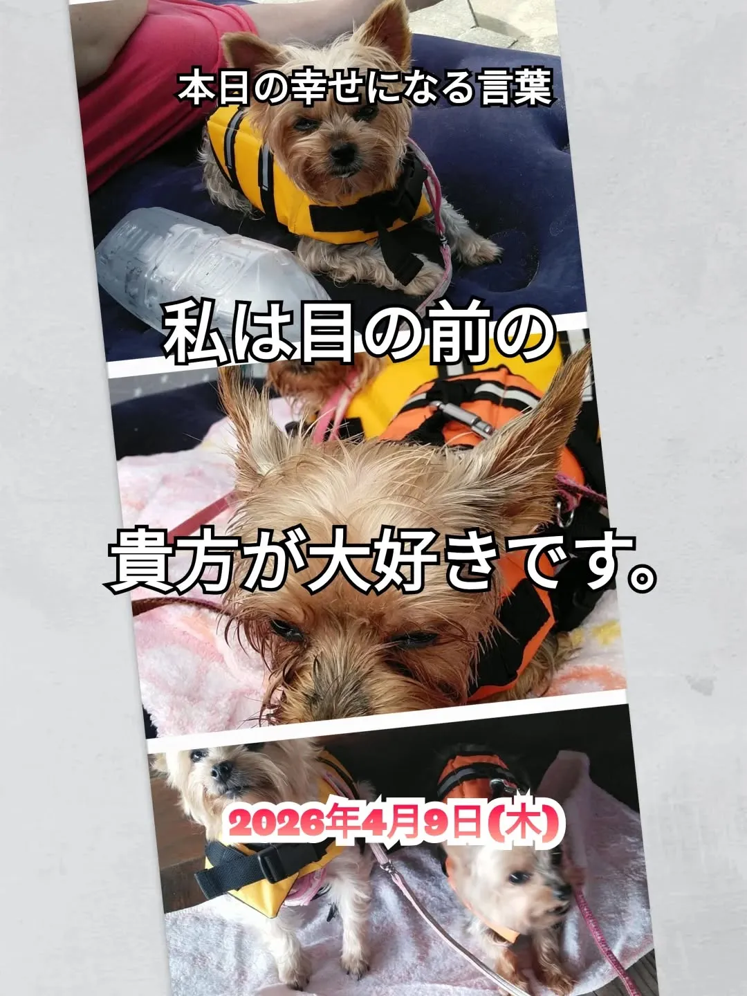 スピリチュアルヒーリングセンター